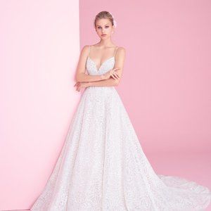 NEW Blush by Hayley Paige Jardin Gown